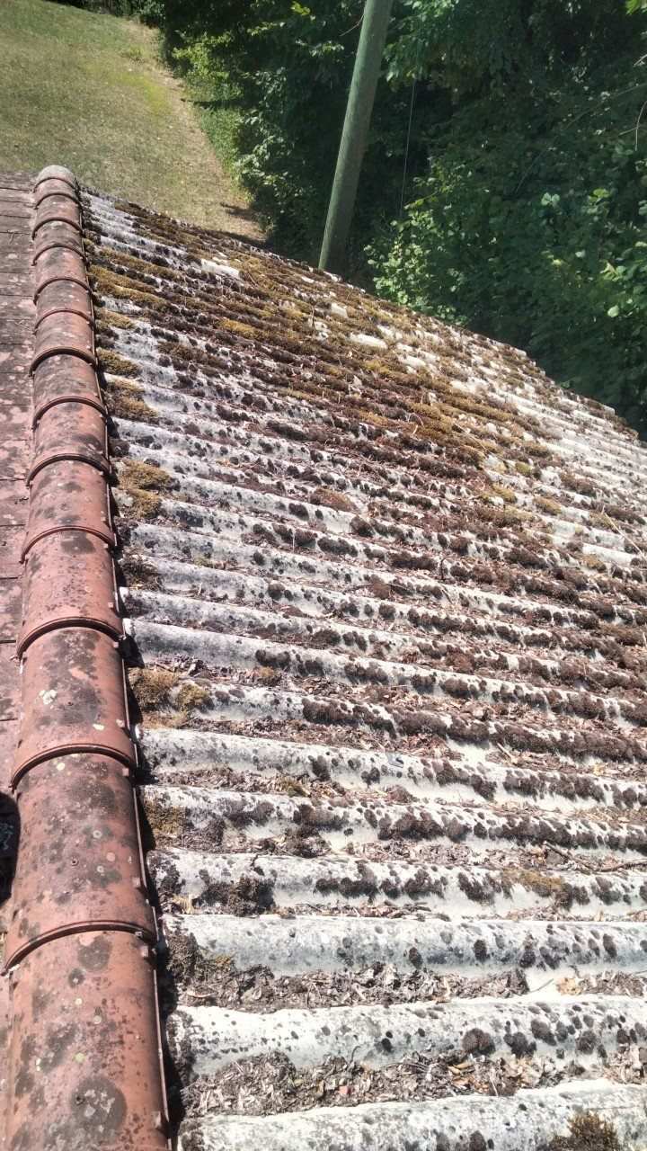 Pan de toiture en plaques ondulées très fortement colonisé par la mousse, avant intervention